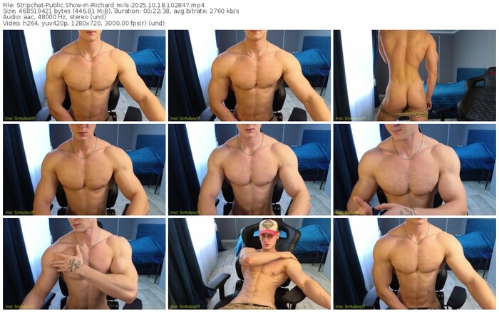 stripchat-richard_mils-10-18-2025-10-28-47