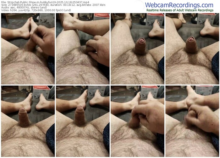 stripchat-hubbyfun19-10-18-2025-05-34-37