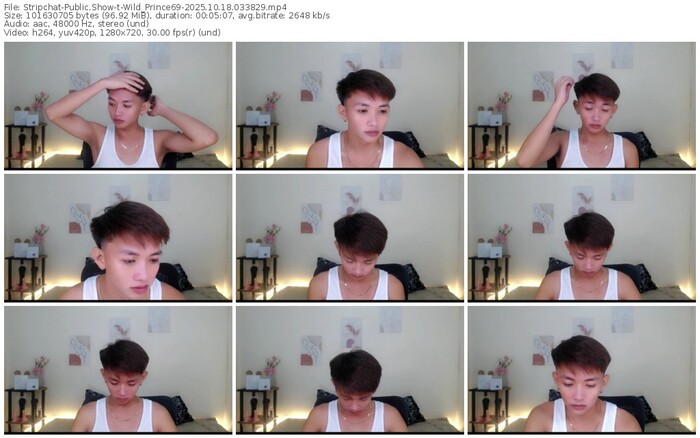 stripchat-wild_prince69-10-18-2025-03-38-29