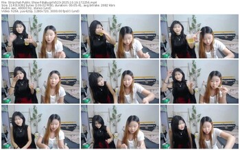 stripchat-babygirls523-10-19-2025-17-22-56