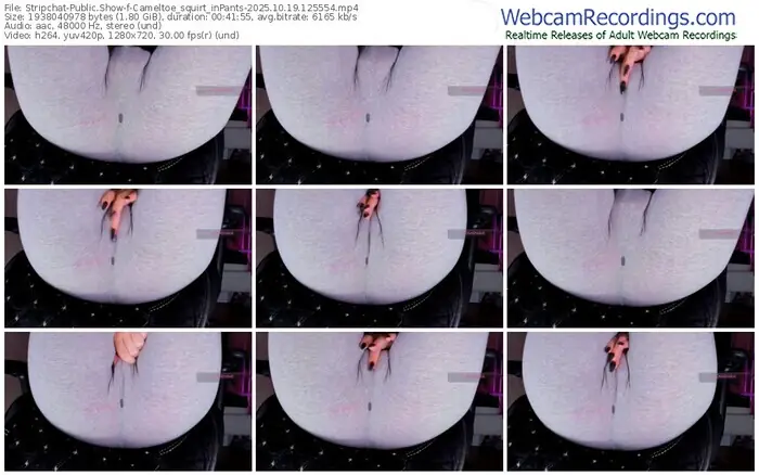 stripchat-cameltoe_squirt_inpants-10-19-2025-12-55-54