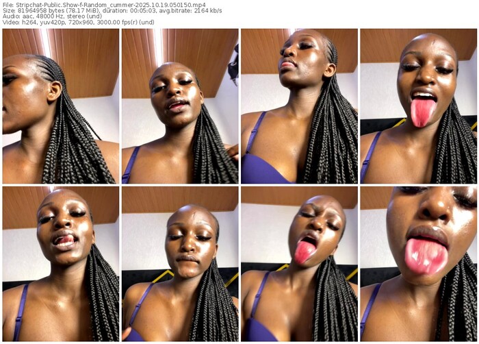 stripchat-random_cummer-10-19-2025-05-01-50