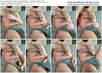 stripchat-deckard_webb1_-10-19-2025-14-12-17