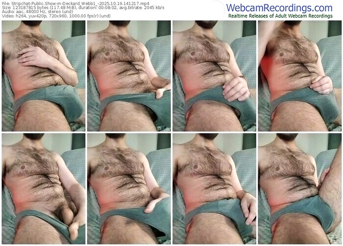 stripchat-deckard_webb1_-10-19-2025-14-12-17