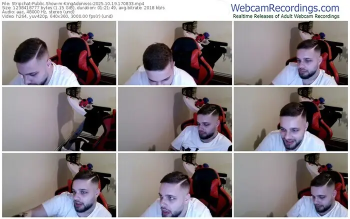 stripchat-kingadonisss-10-19-2025-17-08-33