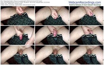 stripchat-loveangelx-10-19-2025-11-15-47