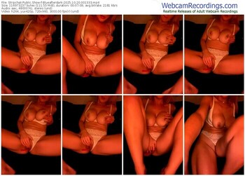 stripchat-blueafterdark-10-20-2025-00-13-33