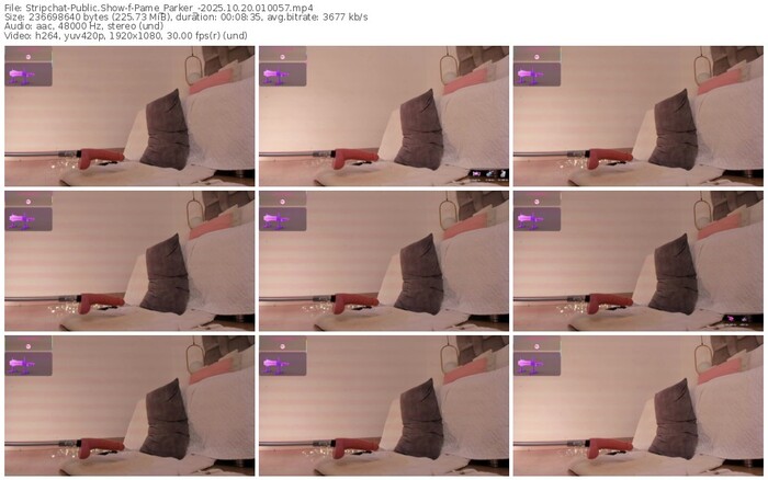 stripchat-pame_parker_-10-20-2025-01-00-57