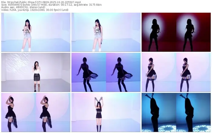 stripchat-sty-0809-10-20-2025-22-55-07
