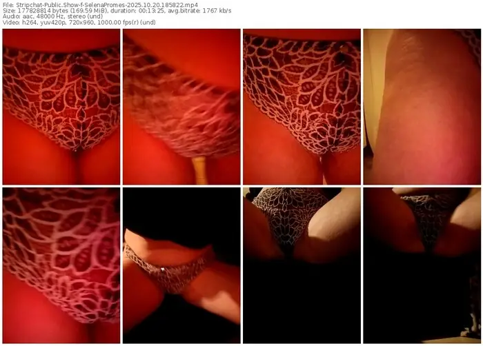 stripchat-selenapromes-10-20-2025-18-58-22