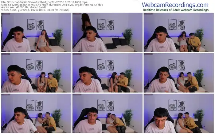 stripchat-wilbert_hot01-10-20-2025-19-46-00