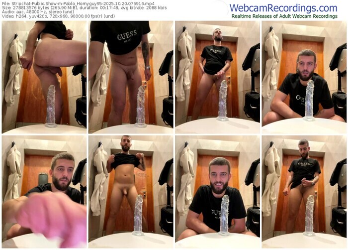 stripchat-pablo_hornyguy95-10-20-2025-07-59-16