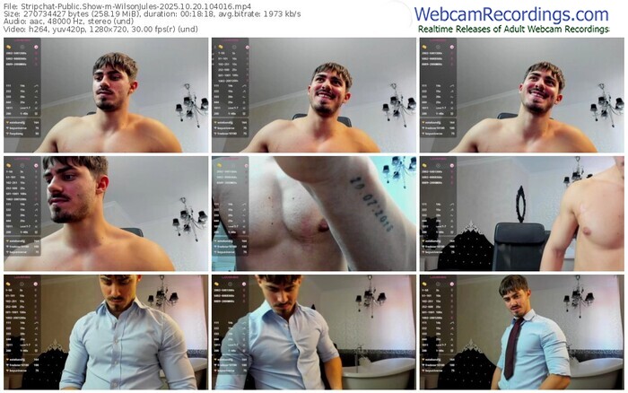 stripchat-wilsonjules-10-20-2025-10-40-16