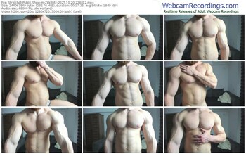 stripchat-zkkblitz-10-20-2025-22-48-12