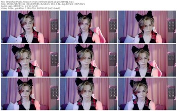 stripchat-evan_reinhart-10-20-2025-23-59-41