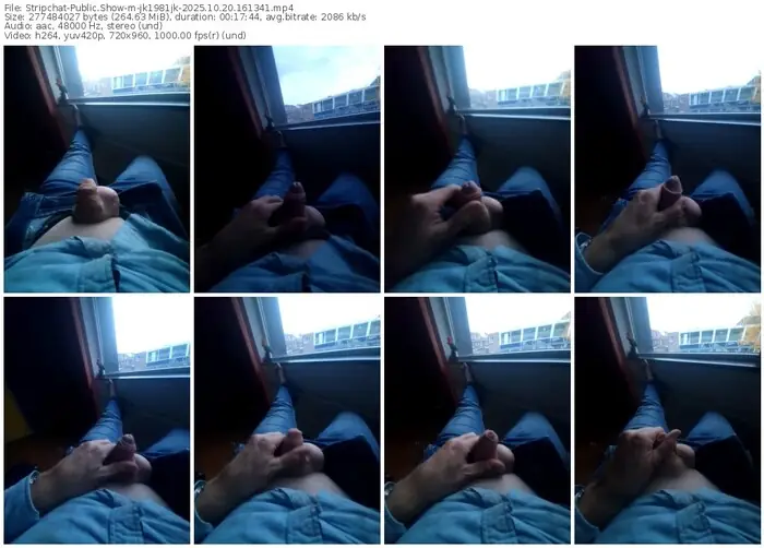 stripchat-jk1981jk-10-20-2025-16-13-41