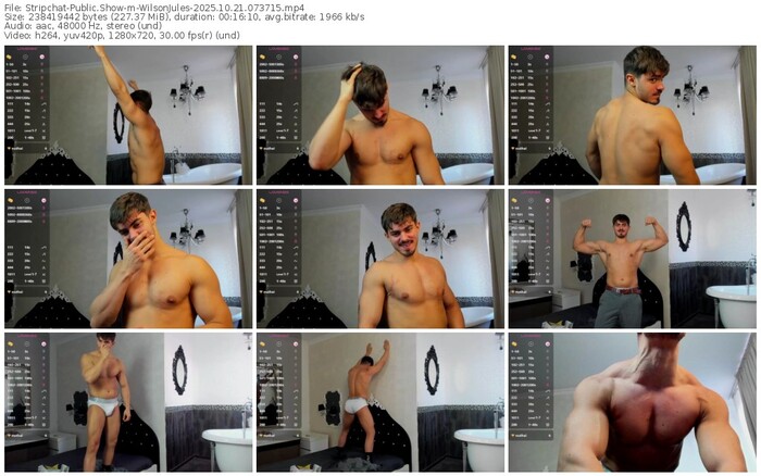 stripchat-wilsonjules-10-21-2025-07-37-15