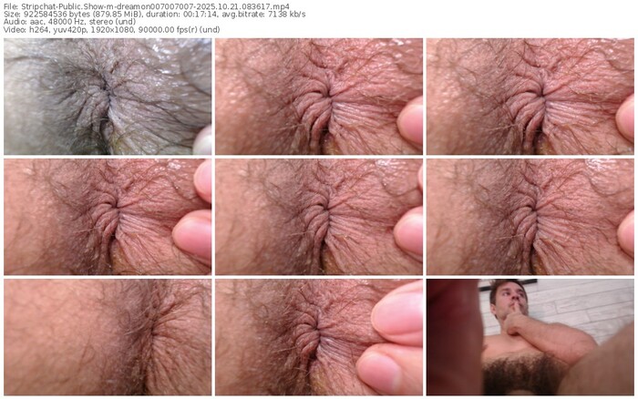 stripchat-dreamon007007007-10-21-2025-08-36-17