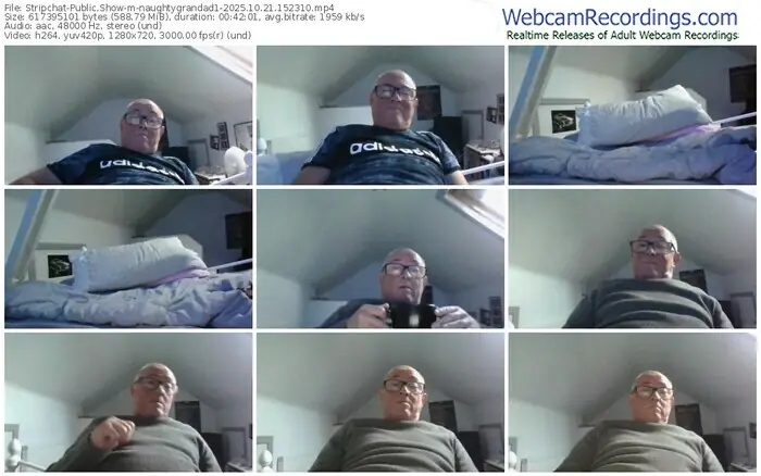 stripchat-naughtygrandad1-10-21-2025-15-23-10