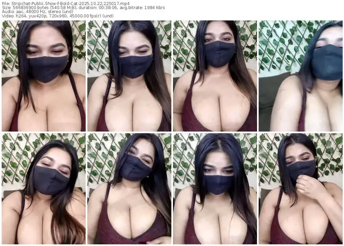 stripchat-bold-cat-10-22-2025-22-50-17