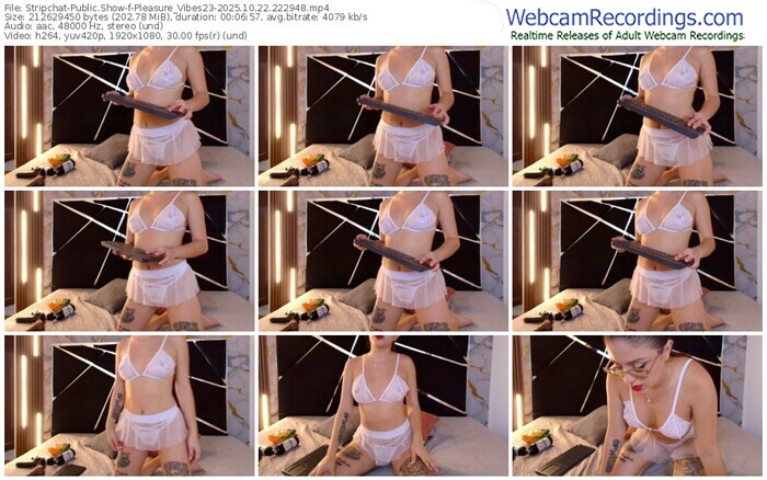 stripchat-pleasure_vibes23-10-22-2025-22-29-48