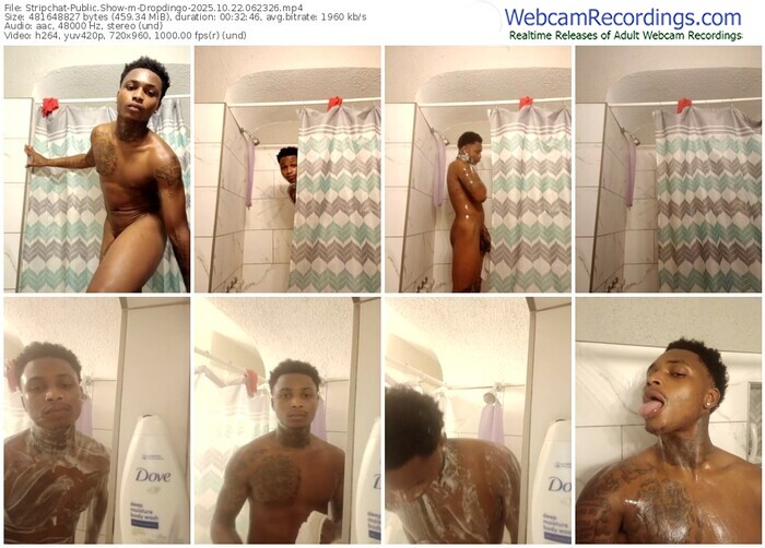 stripchat-dropdingo-10-22-2025-06-23-26