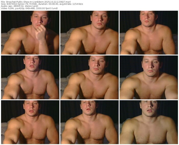 stripchat-lionedwin-10-22-2025-12-38-27