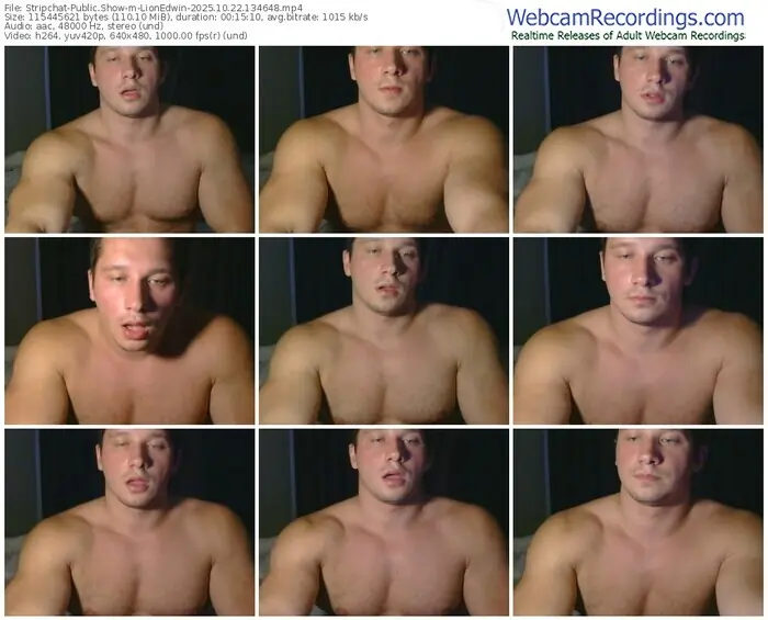 stripchat-lionedwin-10-22-2025-13-46-48