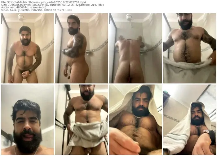 stripchat-lyon_vach-10-22-2025-02-17-37