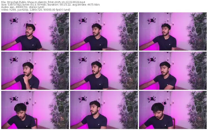 stripchat-dam0n_fr0st-10-22-2025-01-00-18