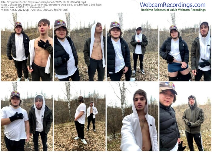 stripchat-desiredude9-10-22-2025-09-14-30