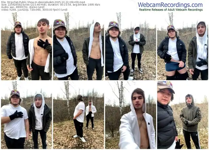 stripchat-desiredude9-10-22-2025-09-14-30