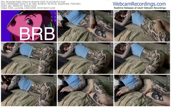 stripchat-dnonilol-10-22-2025-04-14-12