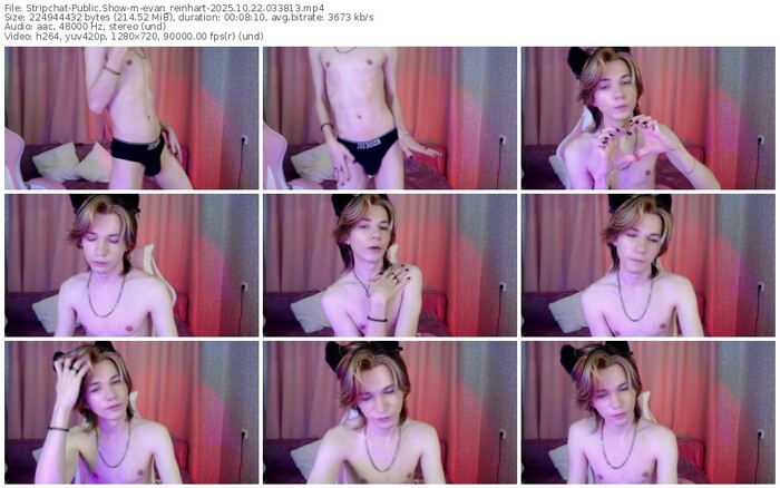 stripchat-evan_reinhart-10-22-2025-03-38-13