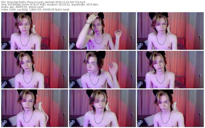 stripchat-evan_reinhart-10-22-2025-04-17-22
