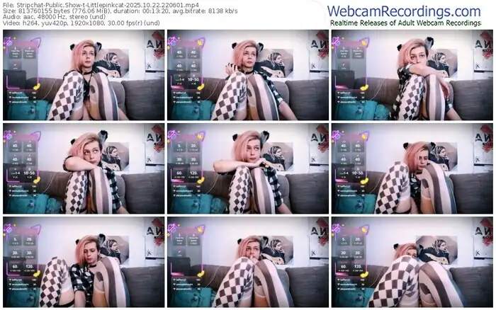 stripchat-littlepinkcat-10-22-2025-22-06-01