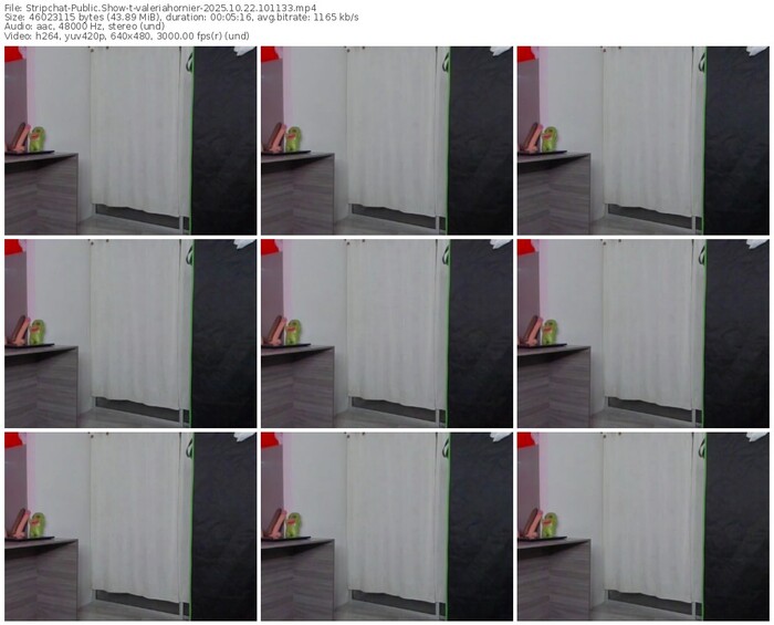 stripchat-valeriahornier-10-22-2025-10-11-33