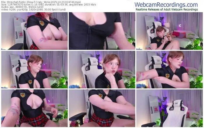 stripchat-crazy_wine-10-23-2025-02-47-49