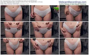 stripchat-dionpefferman-10-23-2025-20-45-39