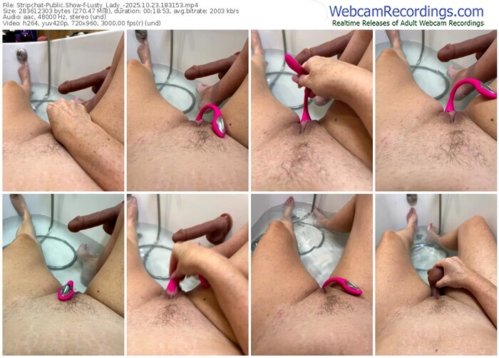 stripchat-lusty_lady_-10-23-2025-18-31-53