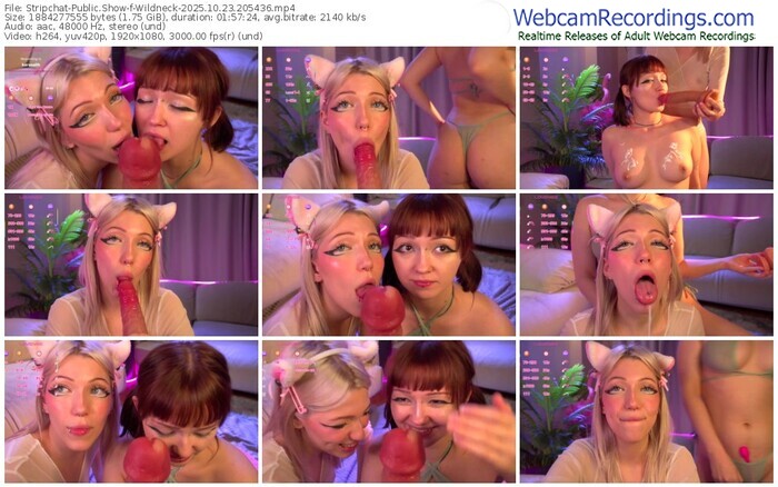 stripchat-wildneck-10-23-2025-20-54-36