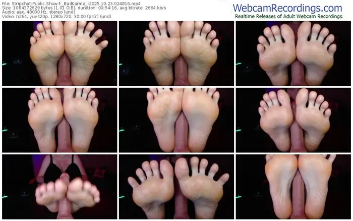stripchat-_badkarma_-10-23-2025-02-48-16