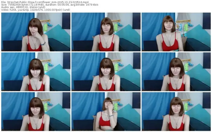 stripchat-cornflower_mm-10-23-2025-02-35-16