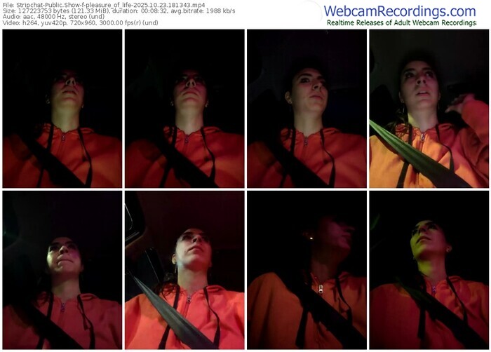 stripchat-pleasure_of_life-10-23-2025-18-13-43