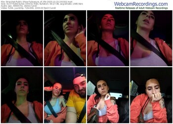 stripchat-pleasure_of_life-10-23-2025-19-33-02