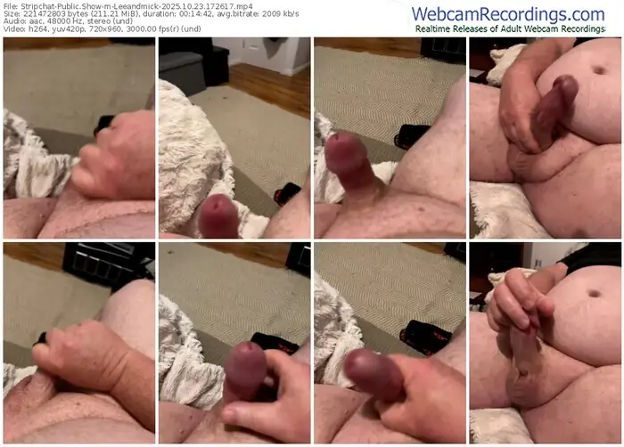 stripchat-leeandmick-10-23-2025-17-26-17