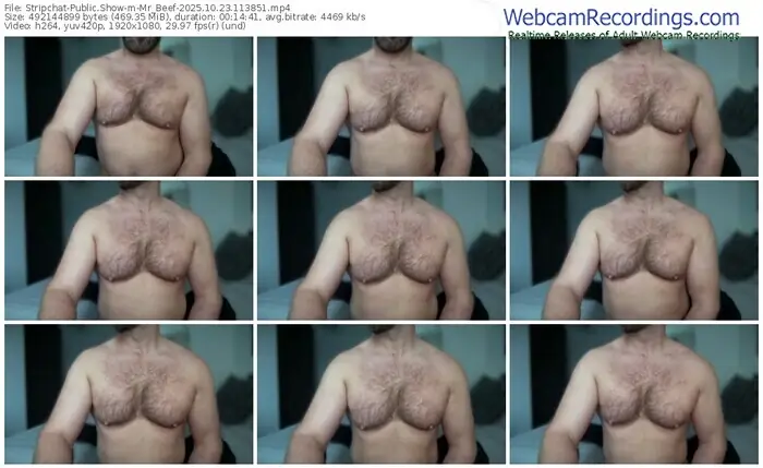 stripchat-mr_beef-10-23-2025-11-38-51