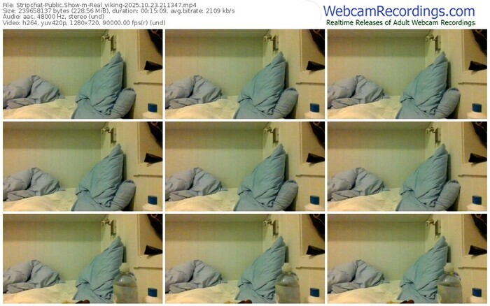 stripchat-real_viking-10-23-2025-21-13-47