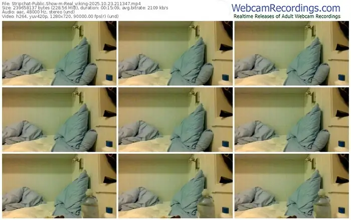 stripchat-real_viking-10-23-2025-21-13-47