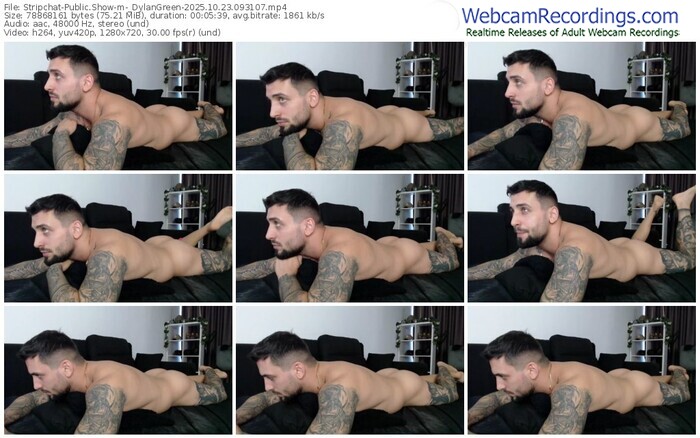 stripchat-_dylangreen-10-23-2025-09-31-07